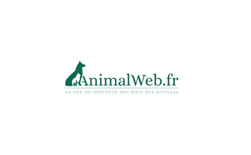 Les Refuges Pour Animaux - France | AnimalWeb