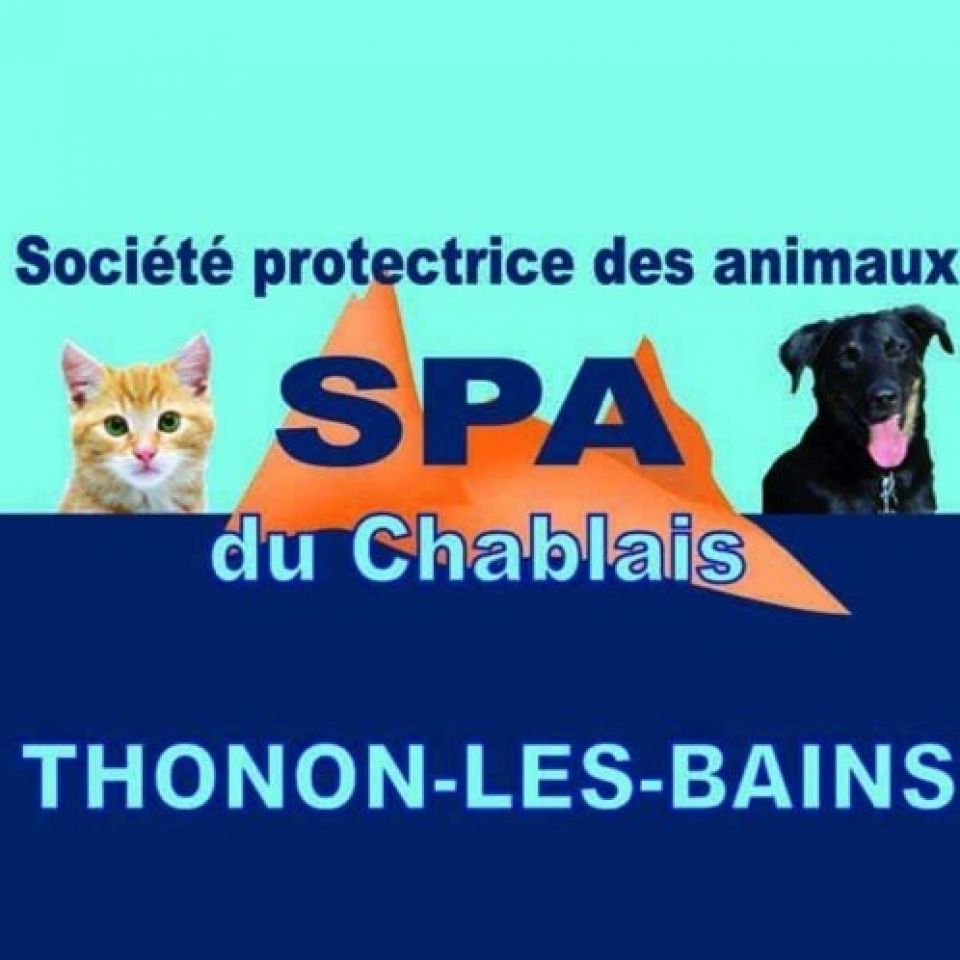 SPA du Chablais | Refuge pour animaux en France | AnimalWeb