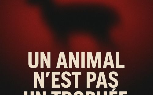 Affiche : 25 000 signatures pour la pétition Pétition pour le floutage Affiche : 25 000 signatures pour la pétition Pétition pour le floutage